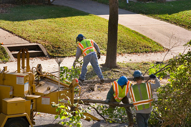 Best Lawn Watering Services  in Celina, OH